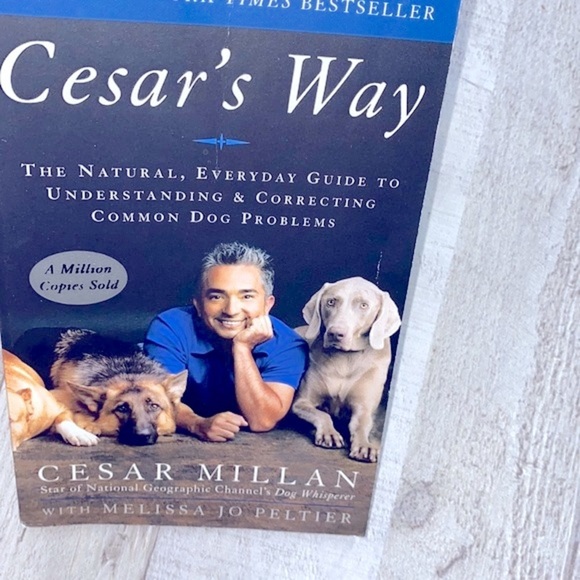 Cesar’s way correcting dog problems paperback book - Picture 2 of 6
